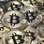 Trump grozi, bitcoin bije rekordy