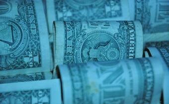 Dolar wciąż bez alternatywy