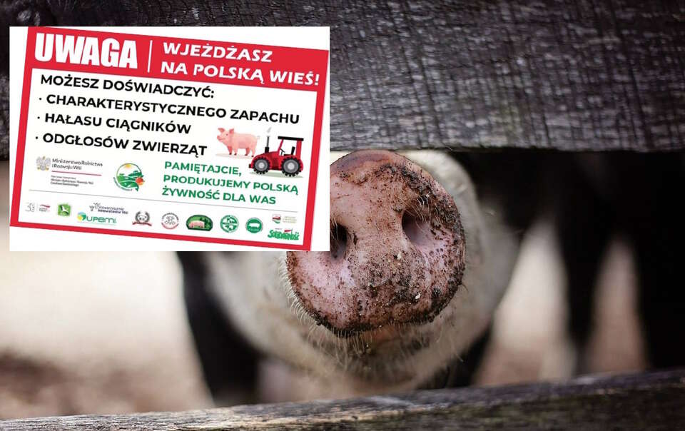 autor: Pixabay/Materiały prasowe