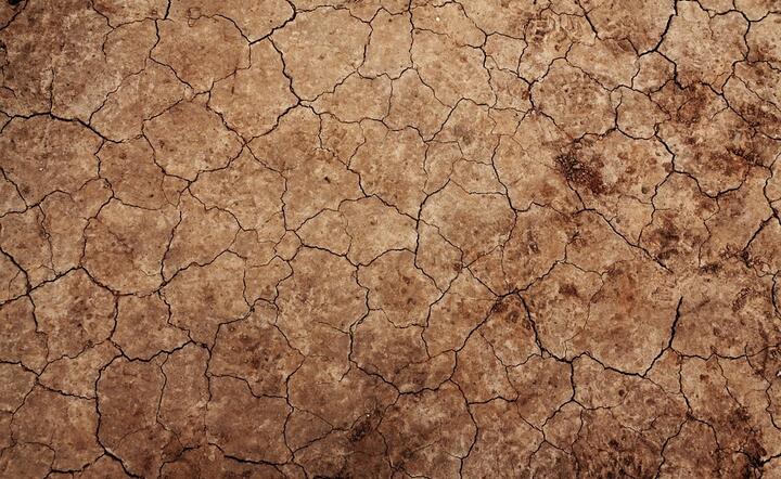 Będzie koordynacja działań przeciw suszy / autor: fot. Pixabay