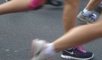 Odkryto klucz do regeneracji kończyn u salamander