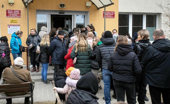 uchodźcy z Ukrainy, kolejka do Urzędu / autor: OKO.press/Twitter