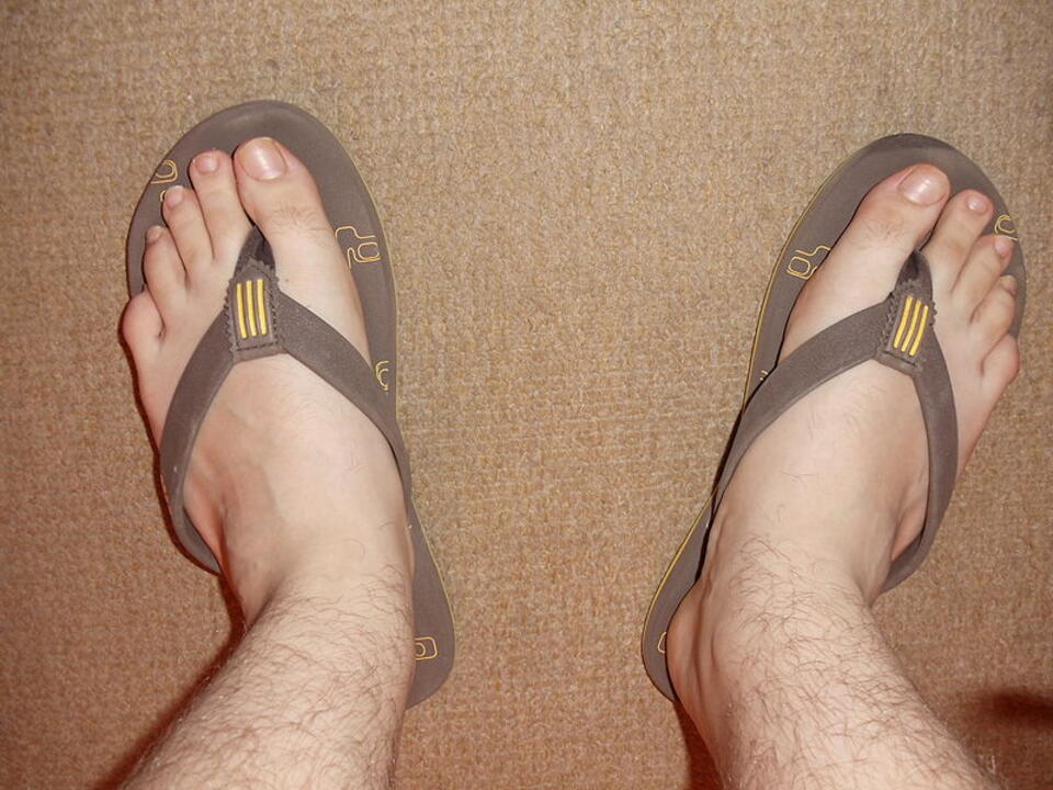 fot. Dami96/CC BY-SA 3.0