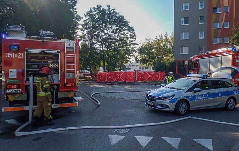 Samochód elektryczny stanął w ogniu. W środku był mężczyzna / autor: FB/Komenda Miejska Państwowej Straży Pożarnej w Skierniewicach