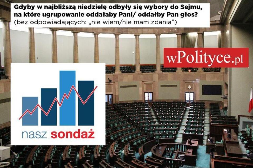 Sondaż portalu wPolityce.pl / autor: wPolityce.pl