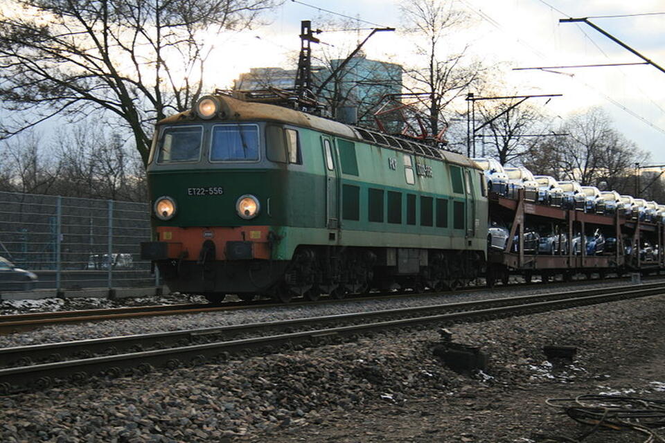fot. Wikimedia/licencja CC/GFDL