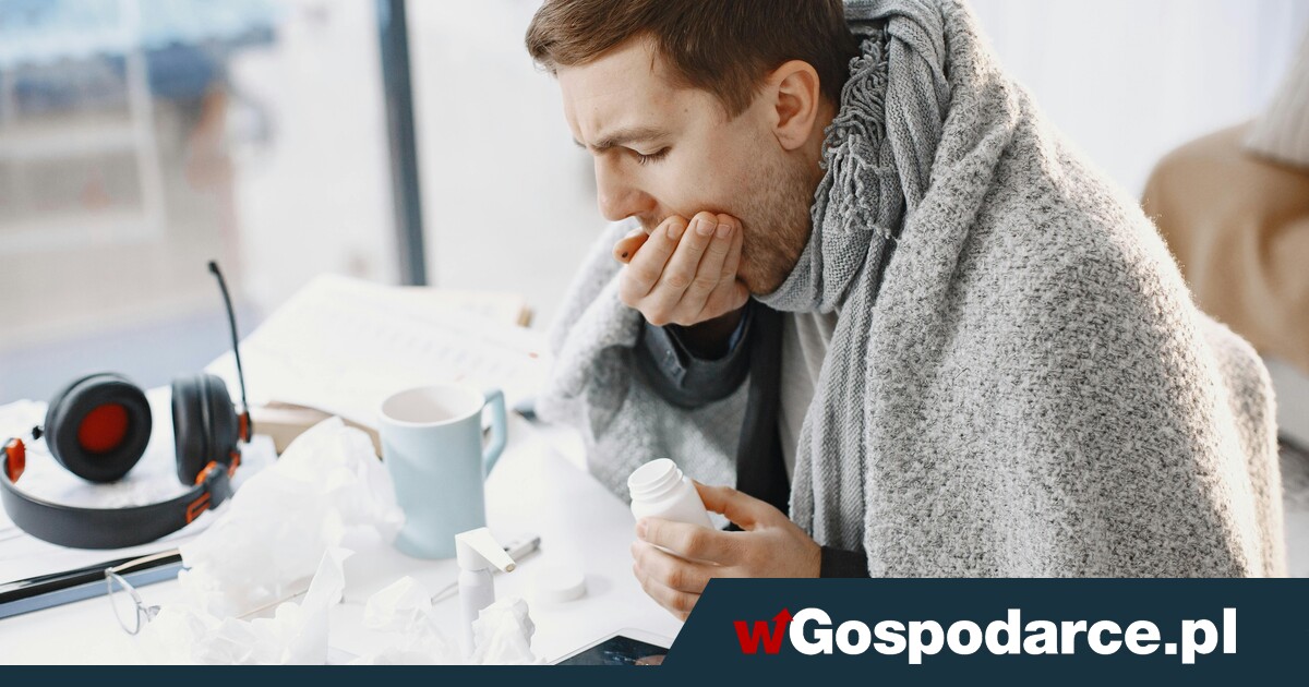 L4 po nowemu. Oto, co możesz robić na L4