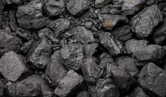 O ile spadła sprzedaż węgla? Najnowszy raport