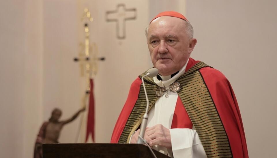 autor: PAP/Wojciech Olkuśnik