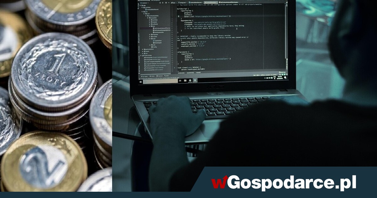 Polacy: „inflacja mój wróg! A haker coraz szkodliwszy"