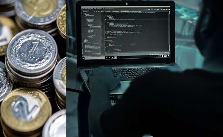 Dla Polaków największym zagrożeniem dla ich finansów jest inflacja, ale rośnie rola cyberoszustw / autor: Pixabay / Fratria
