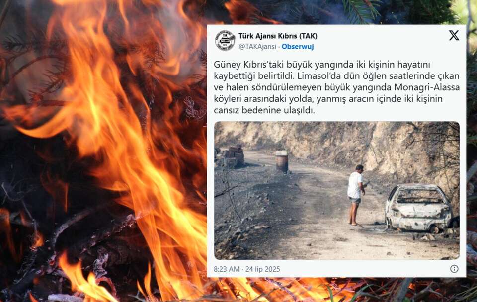 Są dwie ofiary śmiertelne pożaru na Cyprze / autor: Fratria/X