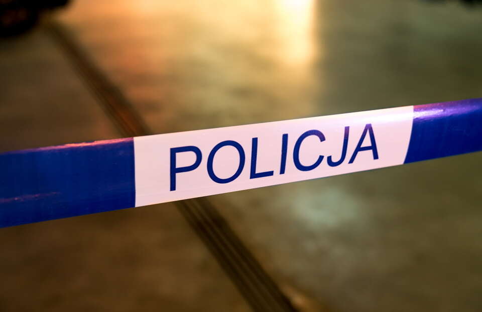 Włamanie na Wilanowie / autor: Fratria