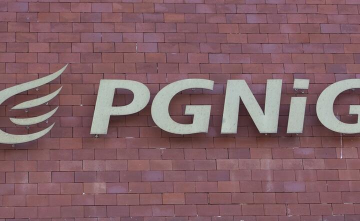 PGNiG Logo / autor: Fratria