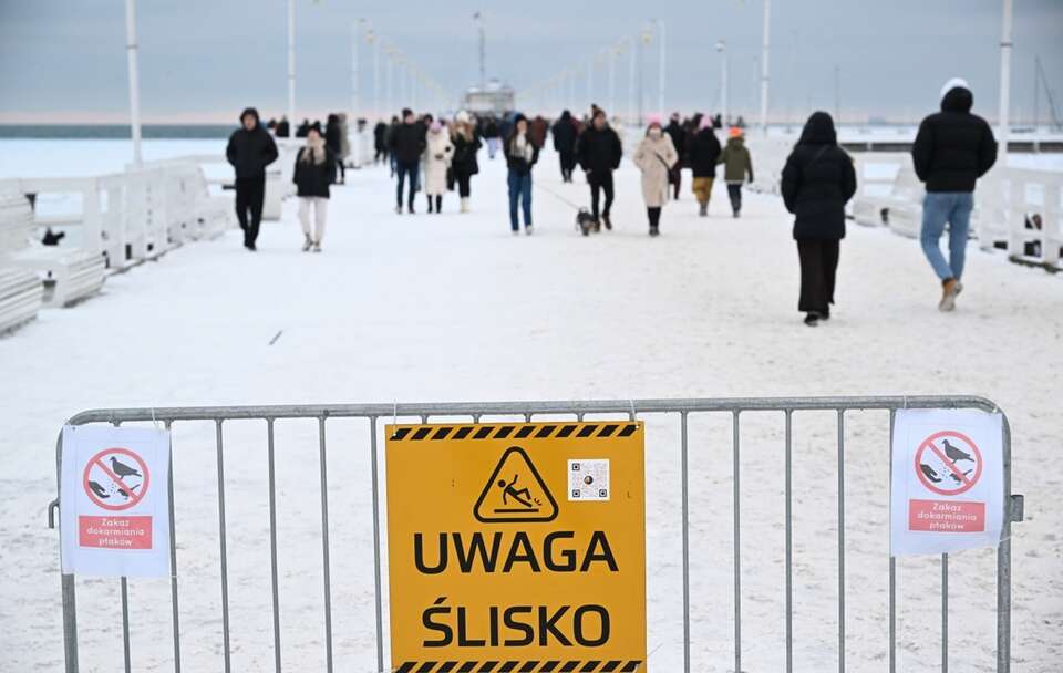 autor: PAP/Andrzej Jackowski