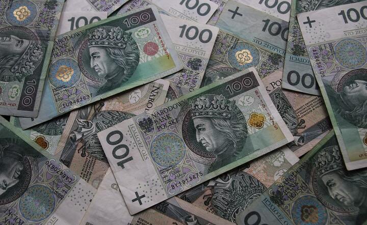 Polska waluta to nasza przewaga w gospodarce  / autor: Pixabay