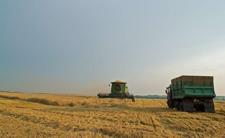 Handel produktami rolnymi z Ukrainy będzie zliberalizowany / autor: Pixabay
