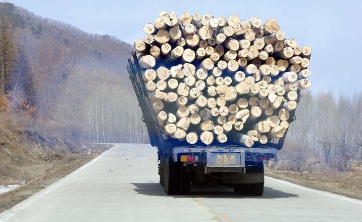 Przeładowana ciężarówka z drewnem. ZDJĘCIE ILUSTRACYJNE / autor: Pixabay