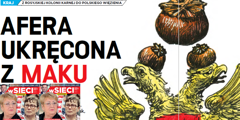 wSieci
