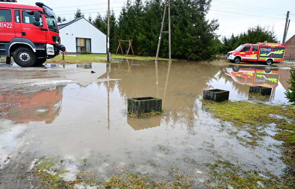 Zdjęcie ilustracyjne / autor: PAP/EPA