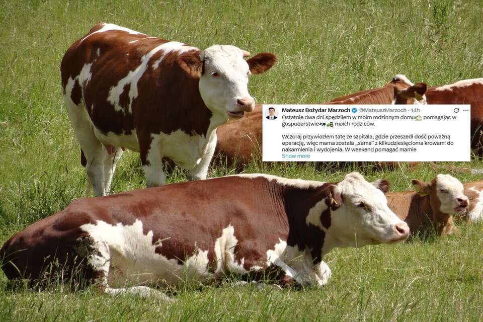 To trzeba zobaczyć! Odpowiedział na ataki na rolników