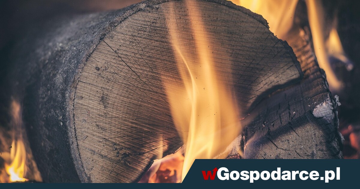 Tylko tym będzie można palić w kominkach