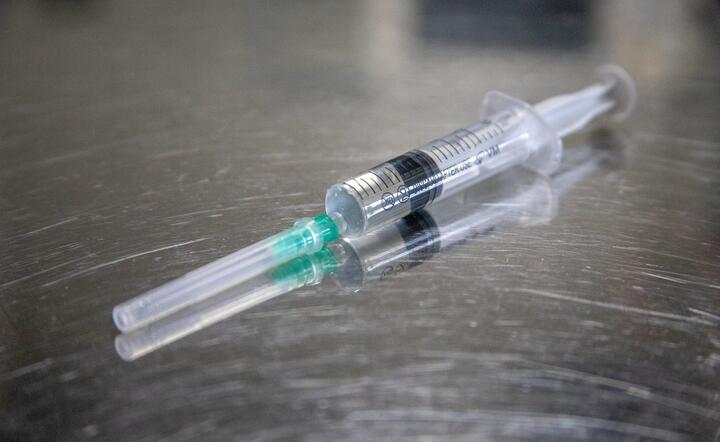 szczepionka COVID-19 / autor: Pixabay