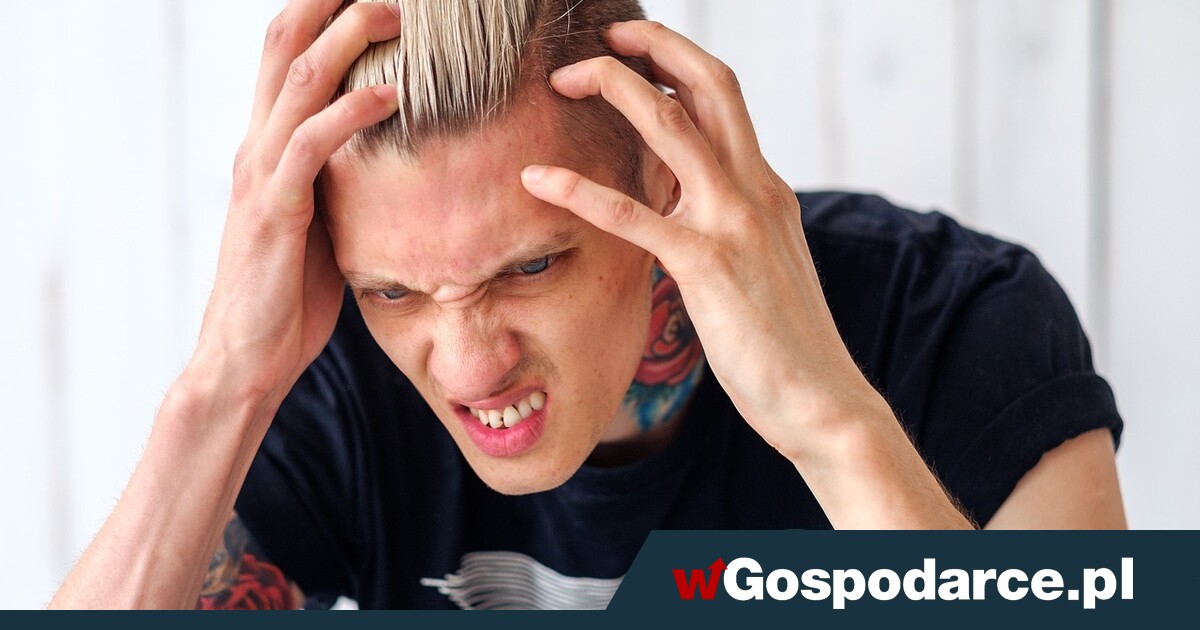 Lek na udar? Odkrycie: Komórki macierzyste pomagają