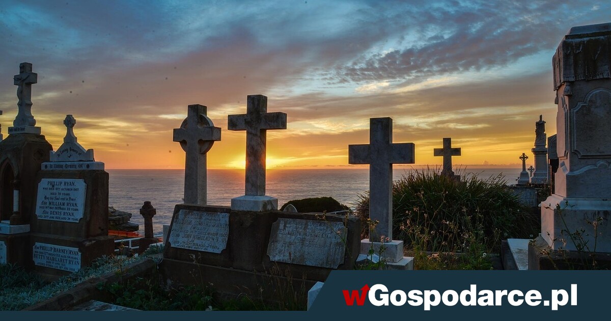 Przerażające: Zmarli wrócą... dzięki SI!