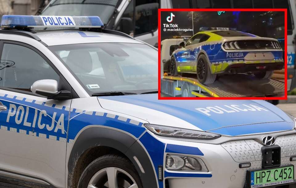 Wkrótce na drogach pojawi się Mustang w policyjnych barwach! / autor: Fratria/TikTok