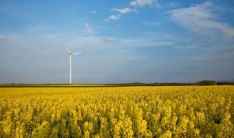 W Hiszpanii OZE to połowa energetyki