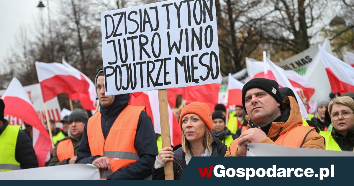 Wyrok na polski tytoń. „Unia pali naszą przyszłość”