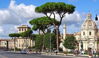 Władze Rzymu wycinają faszystowskie drzewa
