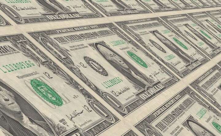 Dolar / autor: Pixabay