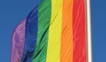 Homo-bojkot - produkty na cenzurowanym wśród homoseksualistów: nie jeżdżą Polskim-Busem, nie jedzą Nutelli