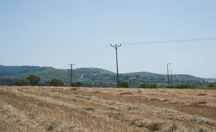 Kluczową sprawą jest interpretacja przepisów o zasiedzeniu. / autor: Freepik