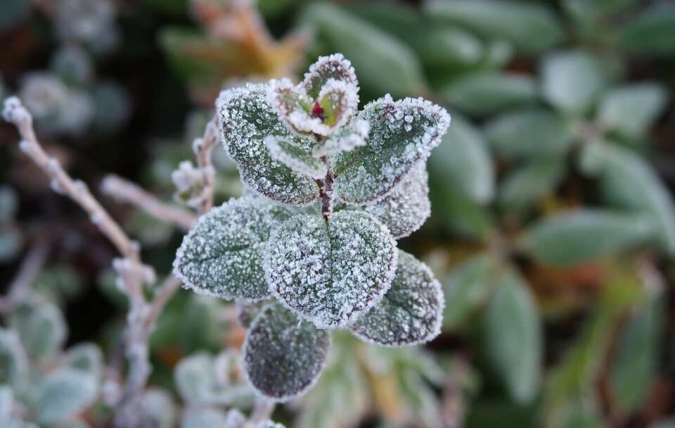 Zdjęcie ilustracyjne / autor: Pixabay/Natalia_Kollegova