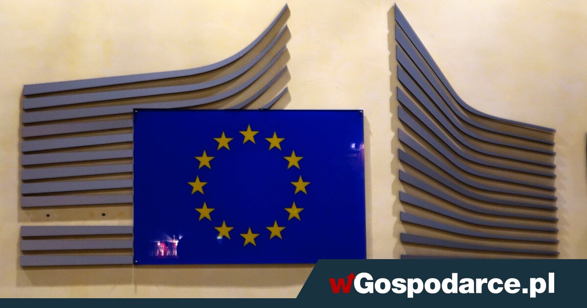 Decyzje o Mercosur odłożone na przyszły rok