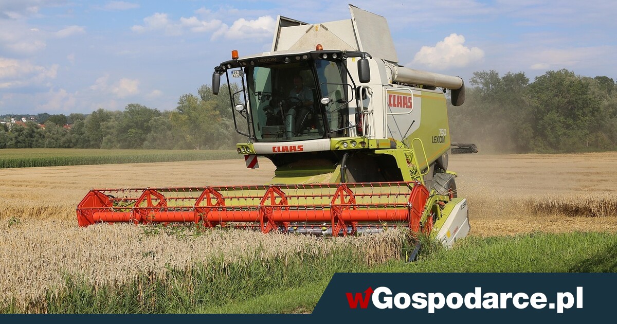 Rolnicy przepłacali 11 lat. UOKiK: to była zmowa cenowa