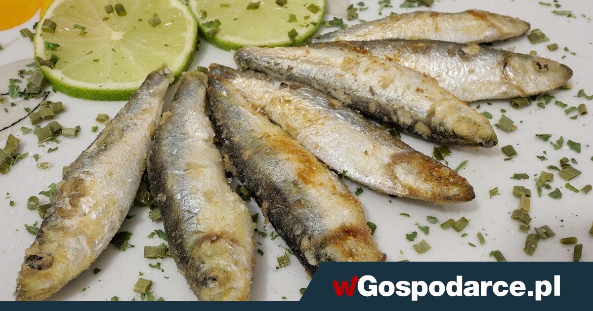 Tłuszcze w diecie to patent na odporność