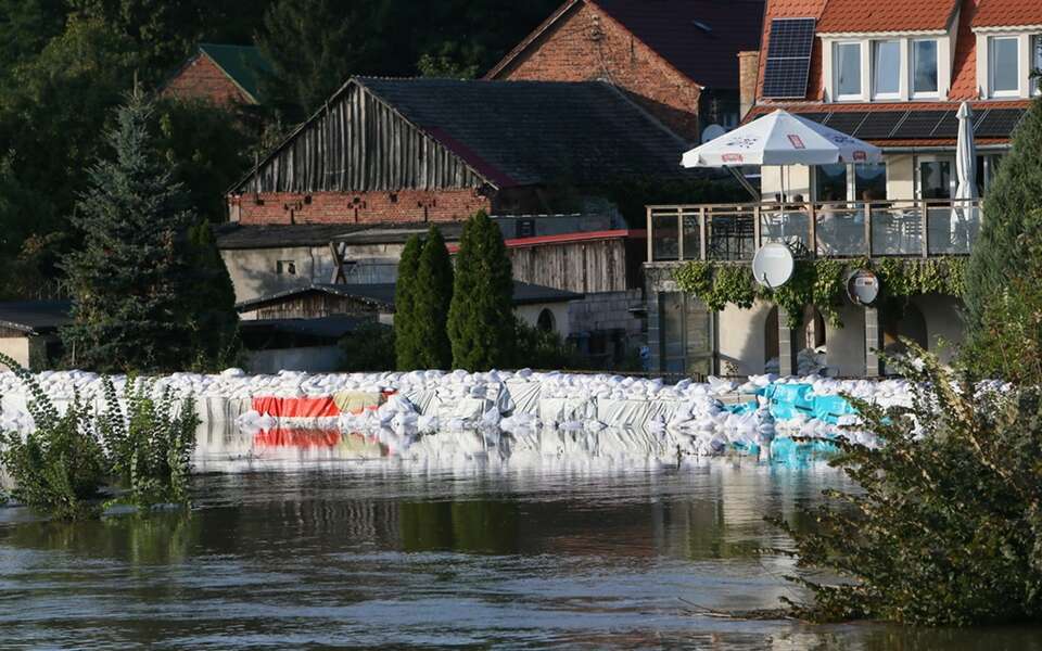 Cigacice, woj. lubuskie, 23.09.2024 / autor: PAP/Lech Muszyński