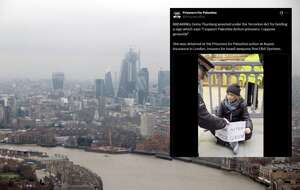 Greta Thunberg zatrzymana w Londynie. W tle demonstracja / autor: Fratria/X