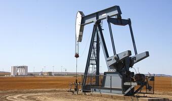 Ropa naftowa wraca do fundamentów