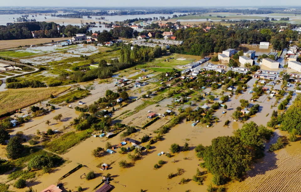 autor: PAP/Michał Meissner