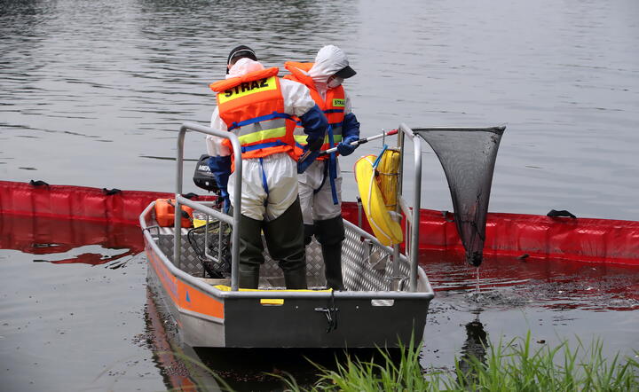 Strażacy w strojach ochronnych usuwają martwe ryby przy zaporze elastycznej na Odrze. / autor: fotoserwis PAP