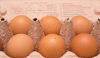 Producenci drobiu: rośnie import jaj do Polski