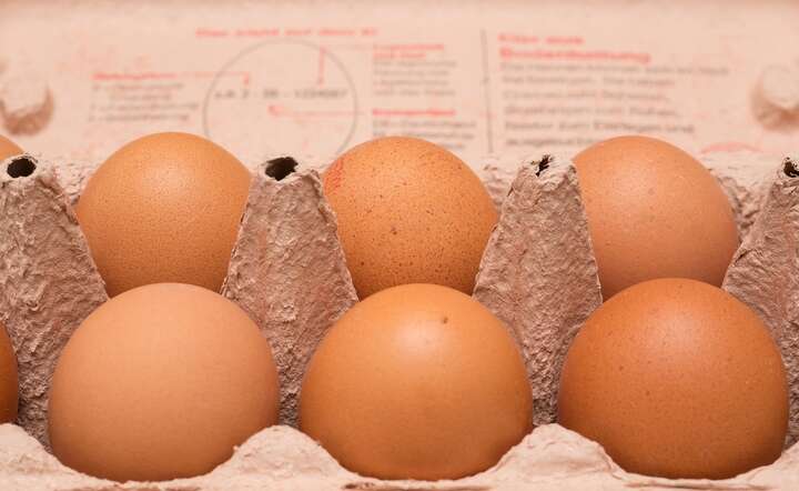 Od kilku lat rośnie import jaj do naszego kraju / autor: Pixabay