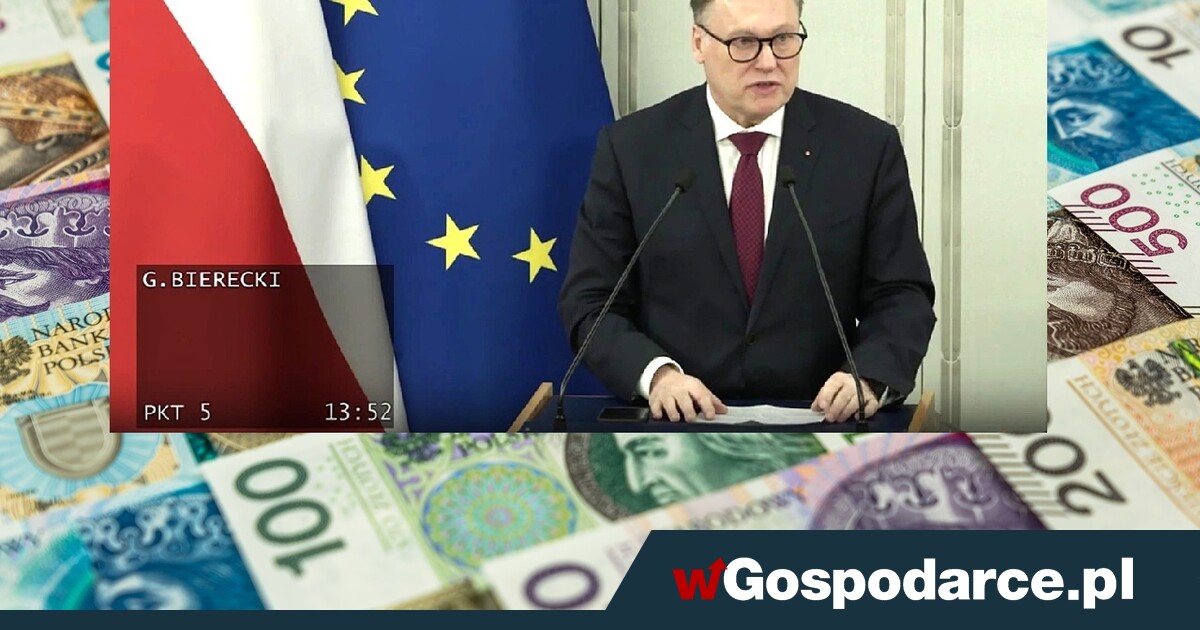 Polska zadłuża się najszybciej w UE. Krach w 2029 r.?