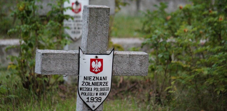 Cmentarz Wojenny w Izabelinie / autor: wPolityce.pl