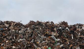 Samorządowcy z PO-PSL chcą wyższych opłat za wywóz śmieci?